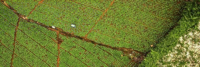 Commodity Risk Data - Main image